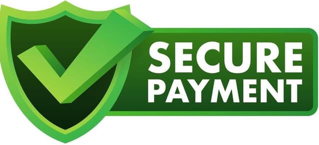 100% Security Payment